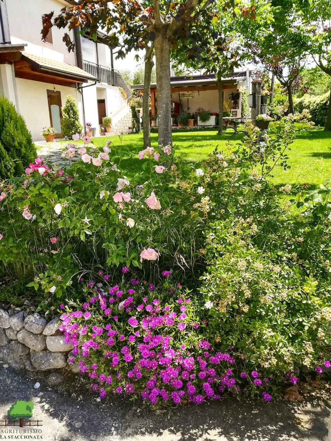 La Staccionata Villa Arpino Kültér fotó